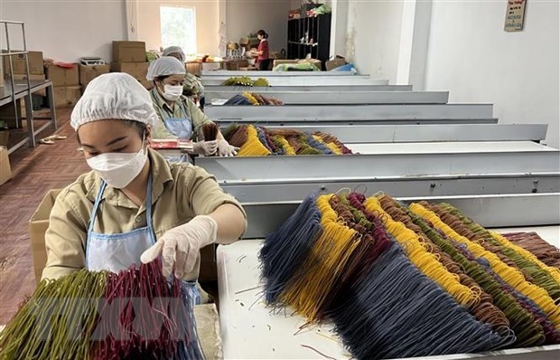 Vietnamese goods see room for growth in Canadian market
