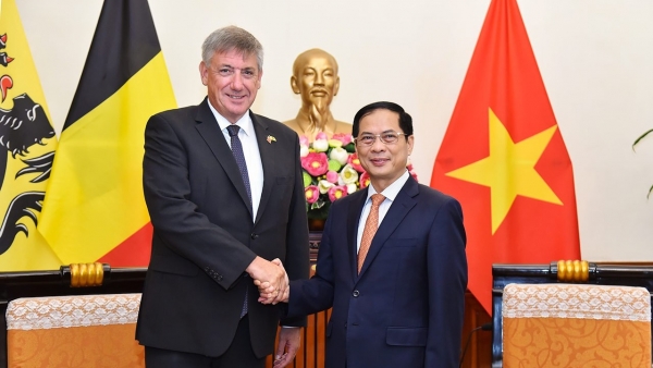 Foreign Minister Bui Thanh Son receives Minister-President of Belgium's Flanders region