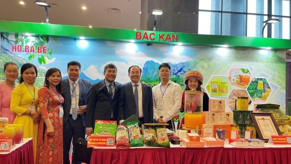 Potential opportunities for Bac Kan Province at the Vietnam-Saudi Arabia Business Forum
