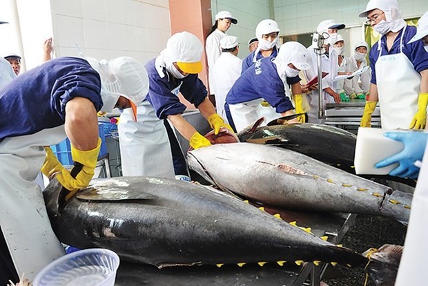 Vietnam&rsquo;s tuna exports to UK positive in coming months: VASEP