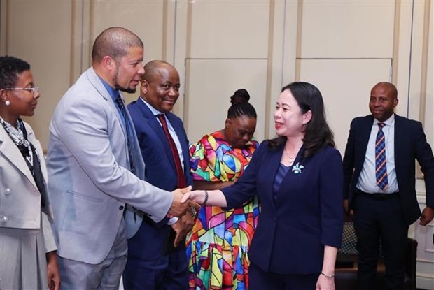 Vice President Vo Thi Anh Xuan active in South Africa