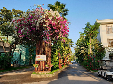 Sao Mai Resort Vung Tau: Memories of the countryside in the Resort