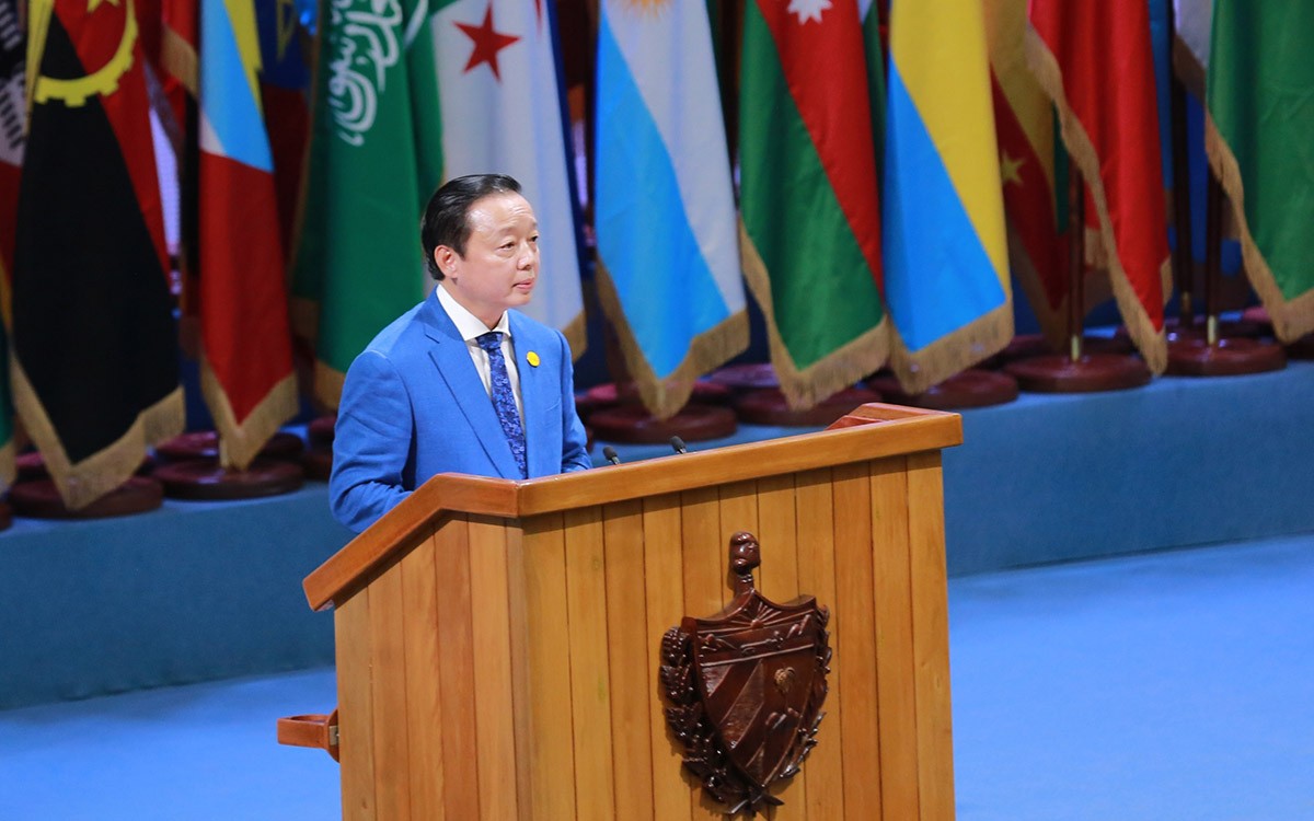 Vietnam calls for Southern development collaboration: Deputy Prime Minister
