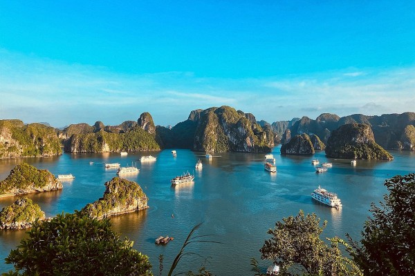 Ha Long Bay-Cat Ba Archipelago recognised as Vietnam' first inter-provincial world heritage site