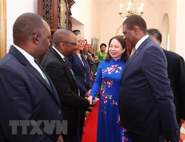 Vice President’s tour boosts bilateral relations with Mozambique, South Africa: Deputy FM