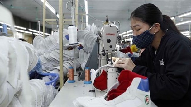 Vietnam plays important role in supply chains of major global sporting goods brands: Workshop