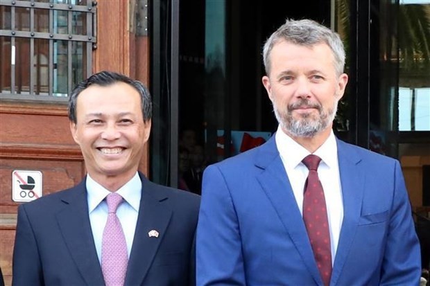 Vietnam-Denmark comprehensive partnership substantive, effective: Ambassador