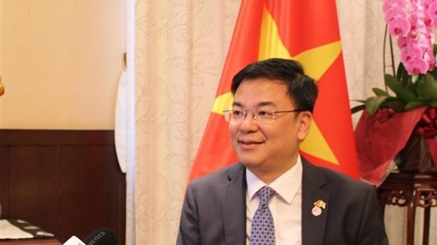 Vietnam - Japan relations live up to extensive strategic partnership: Ambassador