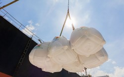 Vietnam becomes the world’s first country to produce and export low-emission rice