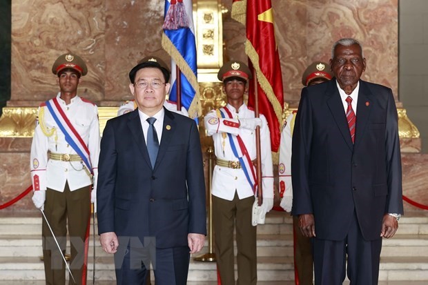 Vietnam - Cuba relations far beyond all diplomatic, political levels: Cuban official