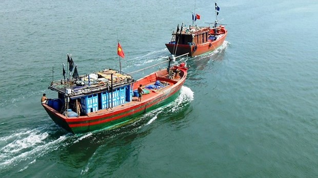 Quang Ngai ramps up efforts against IUU fishing
