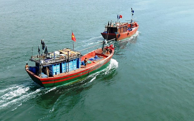 Quang Ngai ramps up efforts against IUU fishing | Society | Vietnam+ (VietnamPlus)
