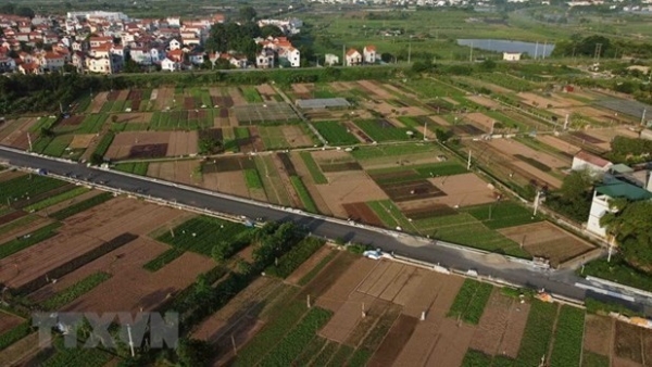 Hanoi promotes specialised farming areas