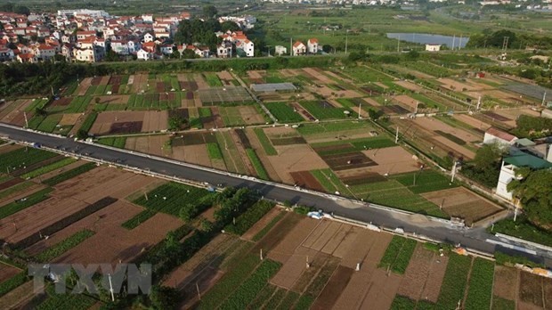 Hanoi promotes specialised farming areas | Society | Vietnam+ (VietnamPlus)