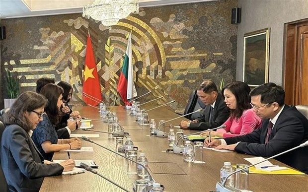 Vietnamese, Bulgarian Deputy FMs agreed to hold political consultation next year