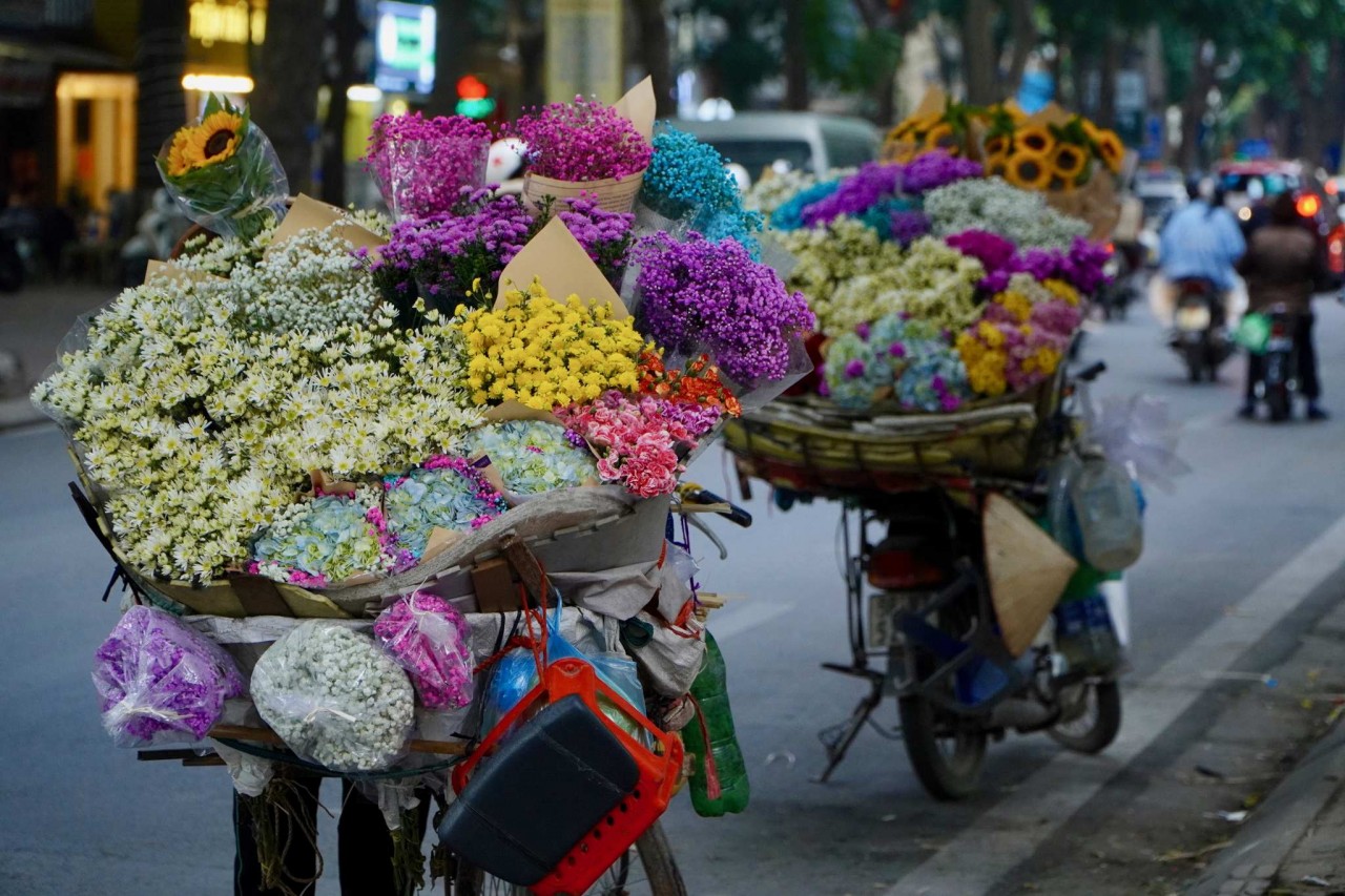 Towards a sustainable development of Hanoi’s culture