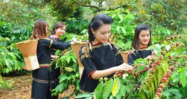 Green transformation considered key to sustainable exports: Experts  | Business | Vietnam+ (VietnamPlus)