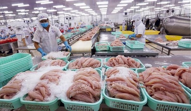 Aquatic product exports see slight increase in September | Business | Vietnam+ (VietnamPlus)
