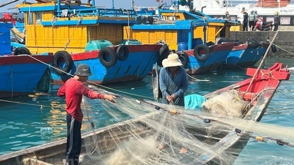 Tien Giang works hard to handle shortcomings in IUU fishing