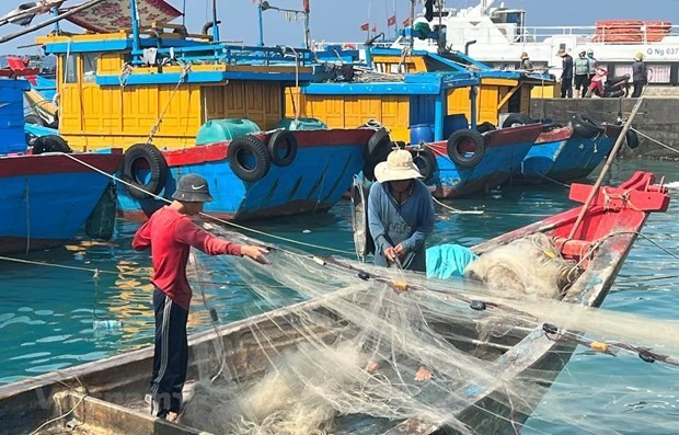 Tien Giang working to handle shortcomings in IUU fishing | Society | Vietnam+ (VietnamPlus)