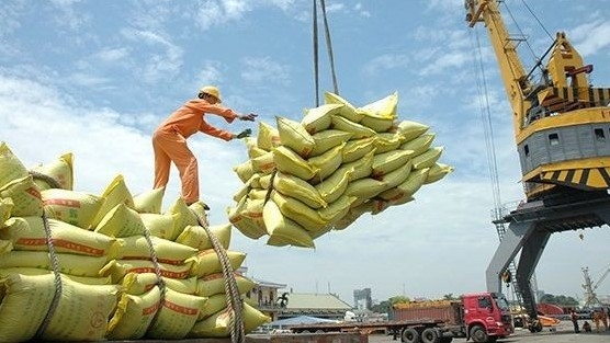 Vietnam rice exports surge to new record revenue: MARD