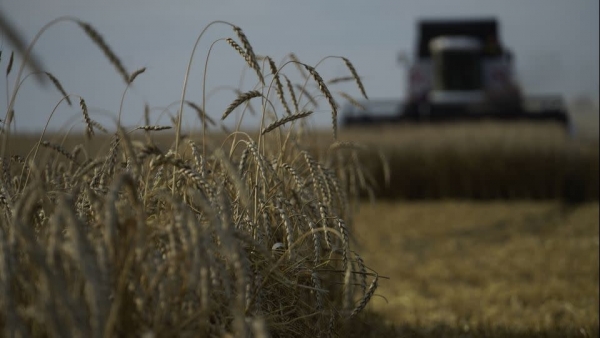 Latvia yêu cầu trừng phạt ngũ cốc và thực phẩm Nga, nói EU phải nhanh chóng hành động