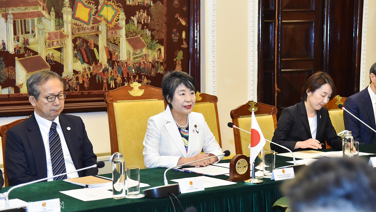 Vietnamese, Japanese Foreign Ministers hold talks in Hanoi