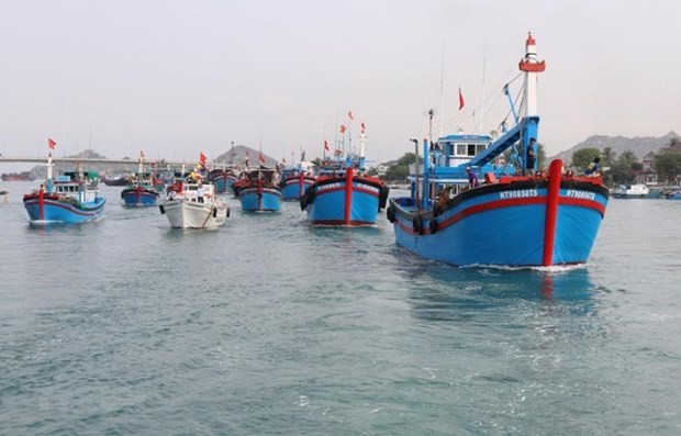 Vietnam seriously implements EC recommendations in IUU fishing combat: MARD