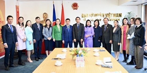 HCM City, New Zealand&rsquo;s Wellington cooperate in smart city building | Society | Vietnam+ (VietnamPlus)