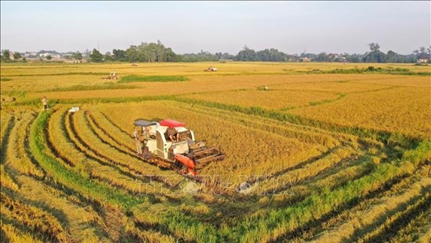 HCM City targets sustainable urban agricultural production
