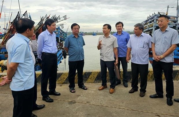 Ministry inspects IUU, disaster prevention in Phu Yen: MARD