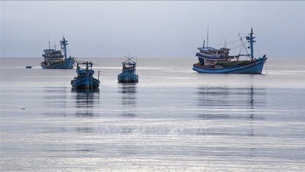 Tien Giang's fishing vessels strictly follow regulations, curbing IUU fishing: Authority