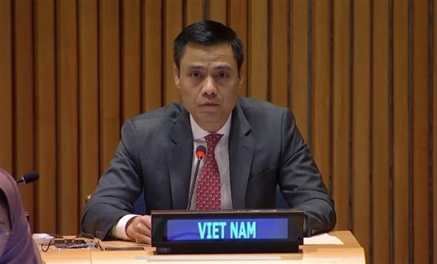 Vietnam supports promotion of international cooperation in human rights: Ambassador