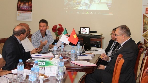 Vietnamese, Algerian companies explore partnership chances