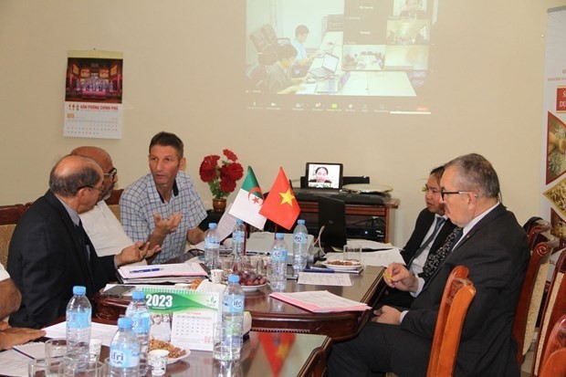 Vietnamese, Algerian companies explore partnership chances | Business | Vietnam+ (VietnamPlus)