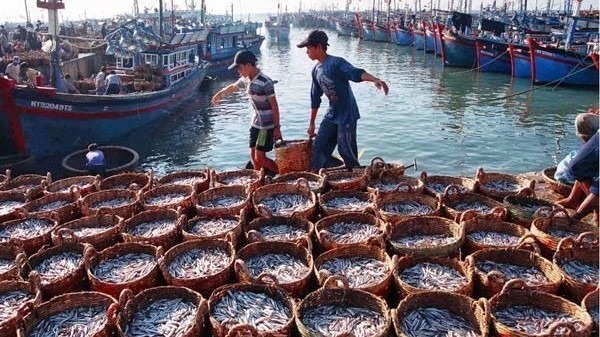 Bac Lieu increases local fishermen's awareness of IUU fishing