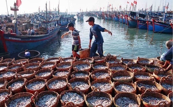 EC delegation recognises Vietnam’s anti-IUU fishing efforts: Deputy Minister