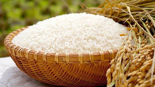 Price of Vietnam&rsquo;s exported rice maintains uptrend: Vietnam Food Association