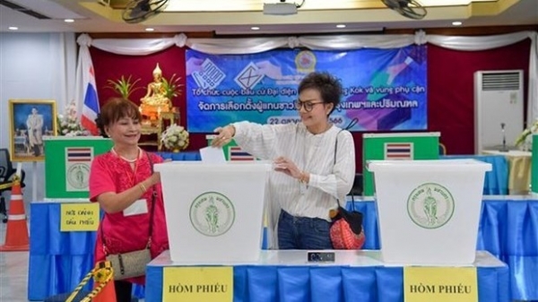 Vietnamese expatriates in Bangkok join first intra-community election