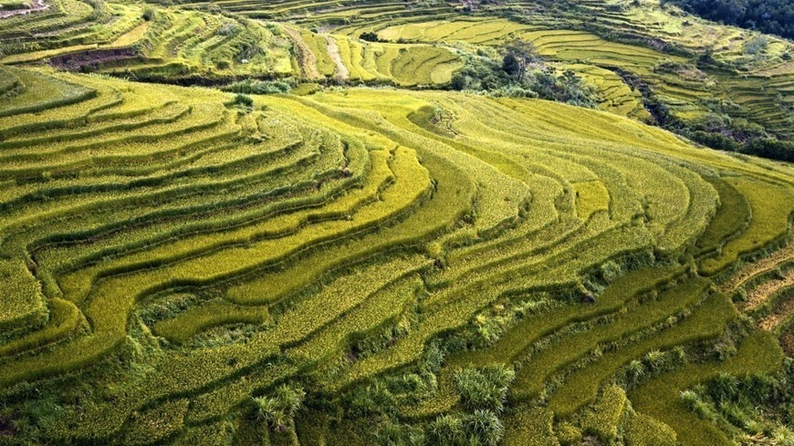 Mien Doi terraced rice fields - Potential for green tourism in Hoa Binh