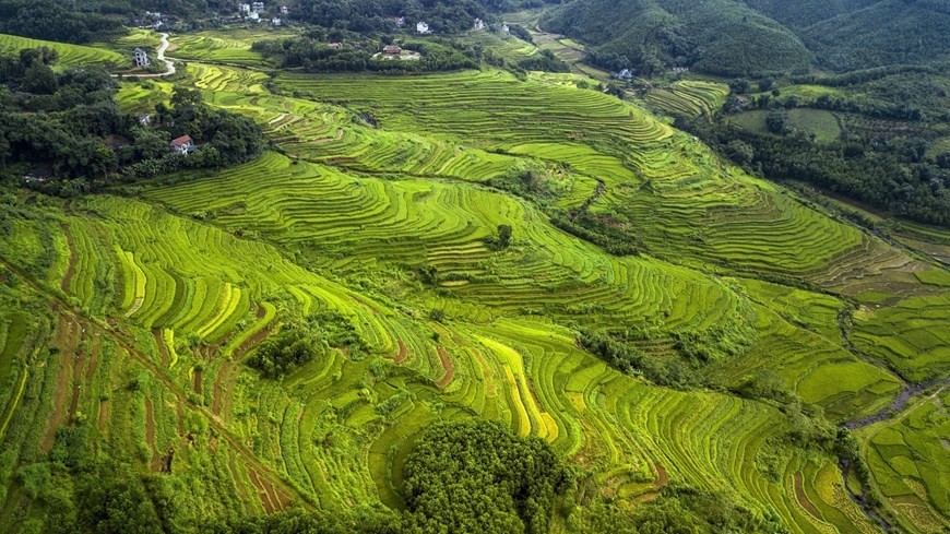 The terraced rice fields in Mien Doi commune are as stunning as those found in provinces renowned for such sights, such as Lao Cai and Yen Bai. (Photo: VNA)