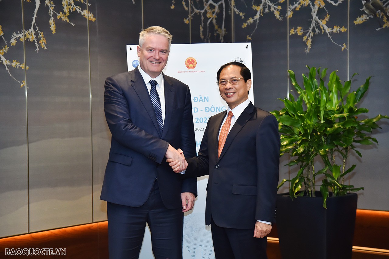 FM Bui Thanh Son receives OECD Secretary-General, calling for more OECD policy recommendations
