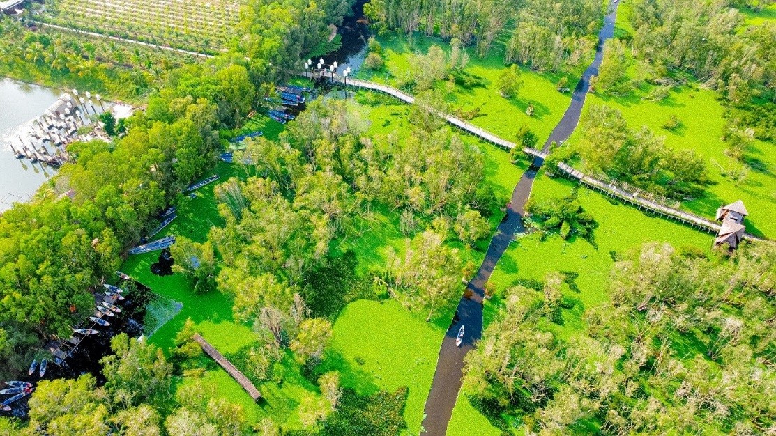 Nơi có chiếc cầu tre xuyên rừng dài nhất Việt Nam
