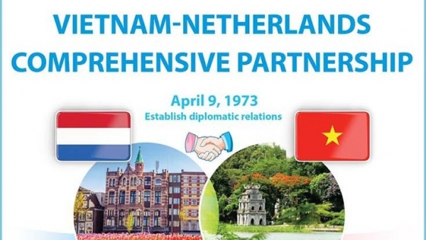 Vietnam - Netherlands relations steadily grow in depth and significance