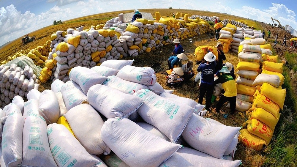 Green production a way for Vietnam to promote agricultural development