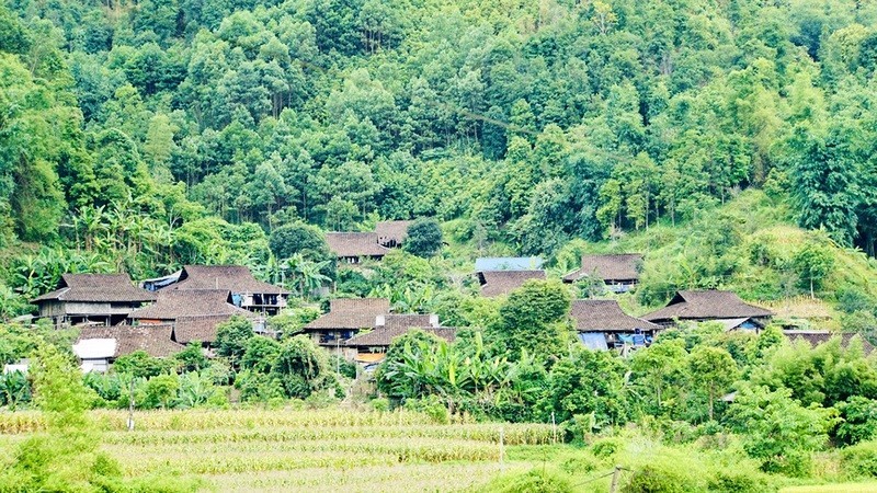 Kim Hy Commune is now home to 123 traditional stilt houses of Tay ethnic group. (Photo: NDO)