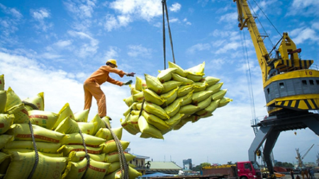 Ministry works to ensure rice export  | Business | Vietnam+ (VietnamPlus)
