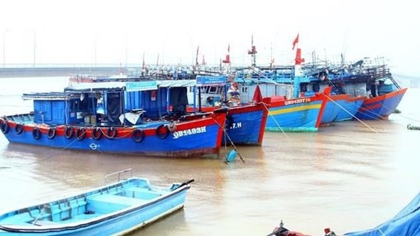 Quang Binh intensifies measures against IUU fishing: Standing Vice Chairman