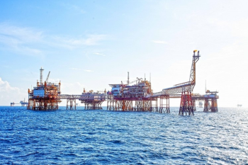 Vietnam looks to int’l cooperation to advance oil and gas industry | Business | Vietnam+ (VietnamPlus)