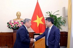 Deputy FM Nguyen Minh Vu received Chairman of Japan-Vietnam Parliamentary Friendship
